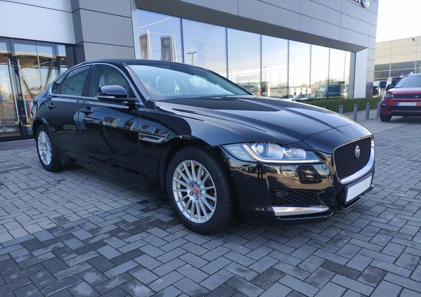 Jaguar XF cena 99900 przebieg: 155587, rok produkcji 2018 z Radzyń Podlaski małe 742